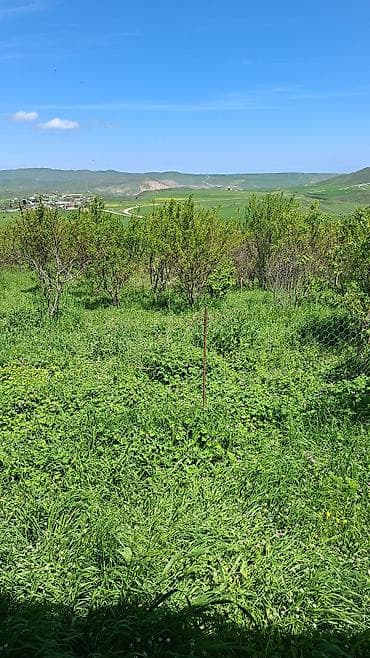 torpaq sekide: 10 sot, Kənd təsərrüfatı, Mülkiyyətçi, Bələdiyyə — 3