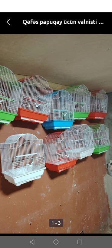 клетки для попугаев купить: Tutquşu yemə düşmüş balalar ələ öyrəşdirmək ücün danışdırmaq ücün cütü — 4