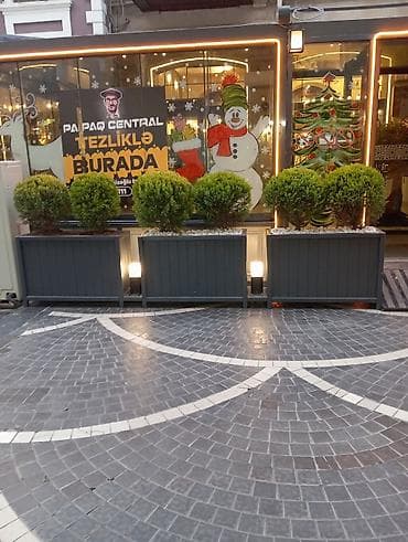 corelli: Papaq Central – Tezliklə burada! - Yeni konseptli ictimai iaşə məkanı — 1