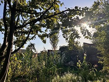ceyranbatanda bina evleri: 5 sot, Tikinti, Mülkiyyətçi, Kupça (Çıxarış) — 1