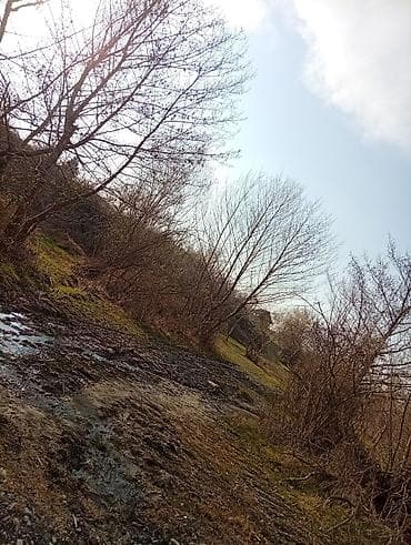 torpax: Tikinti — 5