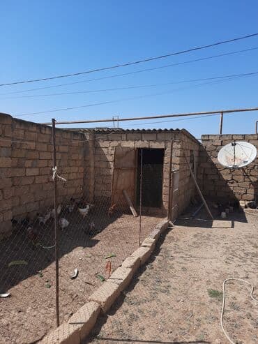 emircan heyet evi: Masazır, 170 kv. m, 5 otaqlı, Hovuzsuz, Qaz, İşıq, Su — 9