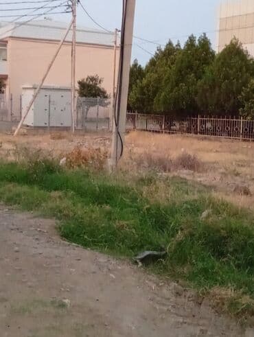 qaracuxurda kiraye evler 2020: 8 sot, Tikinti, Mülkiyyətçi, Kupça (Çıxarış) — 7