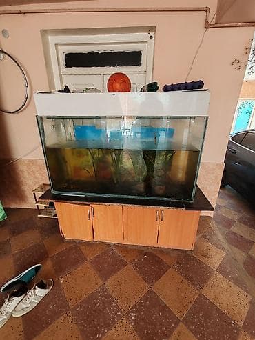 akvarium lampa: 1.20uzunu Eni 50sm Hündürlüyü 90sm Üsdünün kinişkasıda VAR vintilasiya — 3