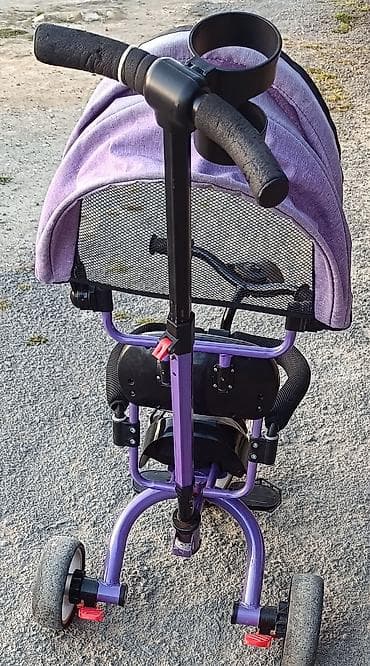 Uşaq üçtəkərli velosipedi – idarəetmə tutacağı və günlüklə - Rəng