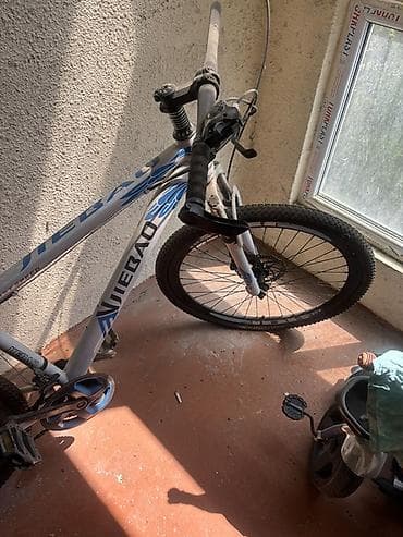 Ailə üçün universal dağ velosipedi - Marka/model: Jiebao (gövdə — 3