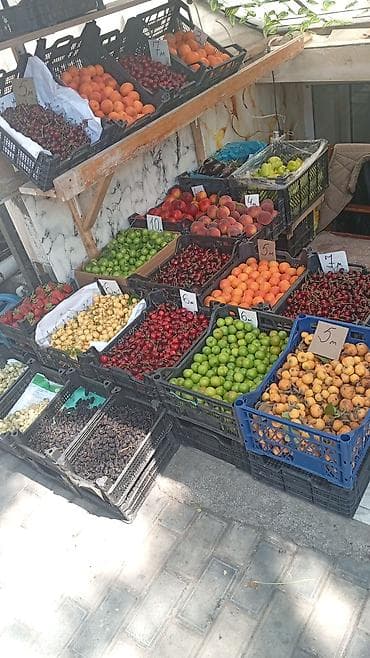 topdan satış erzaq: Məhsul: hazır meyvə mağazası - Tərəvəz-bazar içinə gətirilmiş, iri — 4