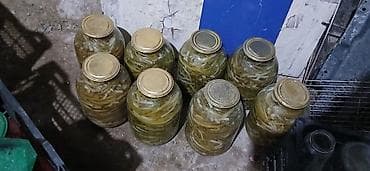 Şirniyyat məhsulları: Xelyer tursu 3 kloyluqu 20Manat Təsvir: - Şüşə bankalarda (təxminən — 3