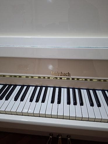 piyana: Piano, Weinbach, Akustik, Yeni, Pulsuz çatdırılma — 3