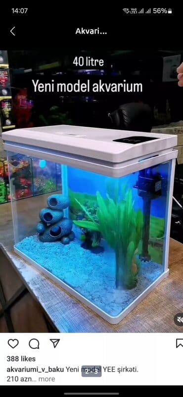 filtir: Dördbucaq akvarium, Boş, 40 l — 6