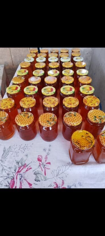 домики для кошек баку: Ящики для пчел — 3