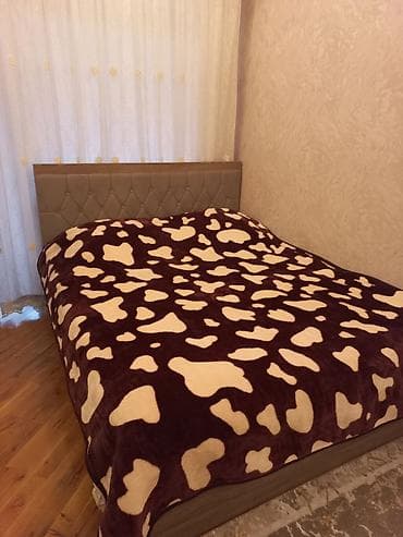 Yeni rəng - Qəhvəyi Pled lalafo.az -da Yeni rəng - Qəhvəyi Pled
