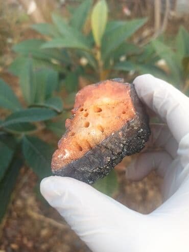 Kitablar və jurnallar: 💎 Qiymətlə bağlı maraqlananlar zəhmət olmasa nömrədən📞 whatsapp dan — 2