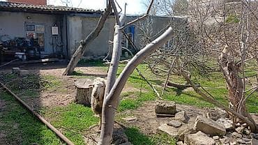 savalanda torpaq satilir: Tikinti — 8