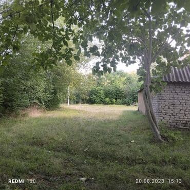 аренда и продажа недвижимости: 25 sot, Mülkiyyətçi, Kupça (Çıxarış) — 7