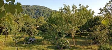 аренда квартир в баку за 200 манат: Salam zaqatala car kendindedi ev internet qaz su her weyi var yolun — 8