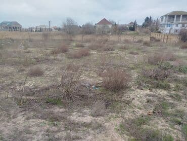 bakida torpaq satilir: Tikinti — 1