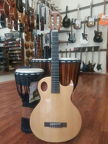 gitara çexolu: Washburn EACT42S-A Çatdırılma xidmətimiz mövcuddur. Həftənin 7 günü — 1