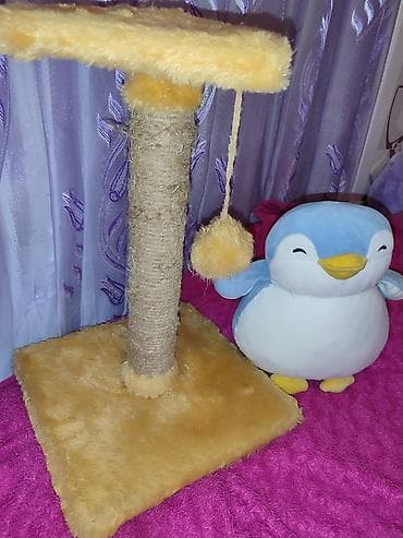 Pişik üçün tirma və oyun stanoku - Material: sisal iplə bərkidilmiş lalafo.az -da Pişik üçün tirma və oyun stanoku - Material: sisal iplə bərkidilmiş