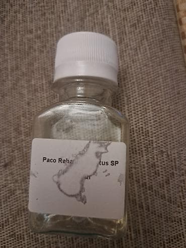 bakarat etri: Paco Rabanne Invictus SP – ətir ekstraktı (dekanter) - Şüşə flakon, ağ — 1