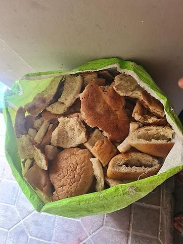 Digər heyvanlar: 6kise qurumus corek 1kisesi 6azn unvam babek pr nzs — 2