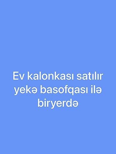 avto kalonka: Ev üçün səs sistemi satılır – kalonka + böyük basofka (subwoofer) bir — 1