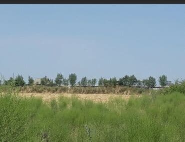 6 ci mikrorayon 1 kv luq verirəm: 6 sot, Tikinti, Mülkiyyətçi, Müqavilə — 2