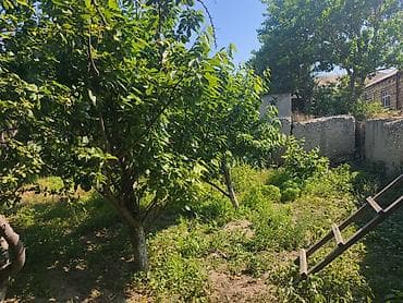4 otaqlı ev: Sumqayıt, 4 kv. m, 1 otaqlı, Hovuzsuz — 6