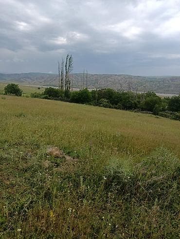 300 sot, Biznes üçün, Barter mümkündür, Kupça (Çıxarış) — 7