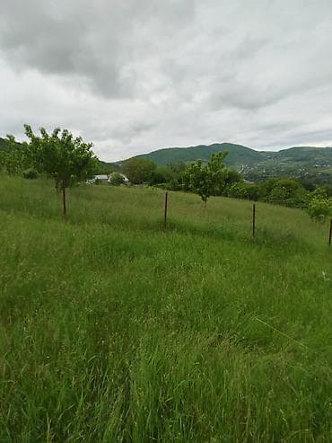 razin: 5 sot, Tikinti, Barter mümkündür, Kupça (Çıxarış) — 10