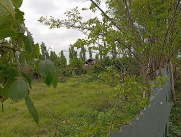 bineqedi rayonu resulzade qesebesi: 6 sot, Tikinti, Mülkiyyətçi, Kupça (Çıxarış) — 9