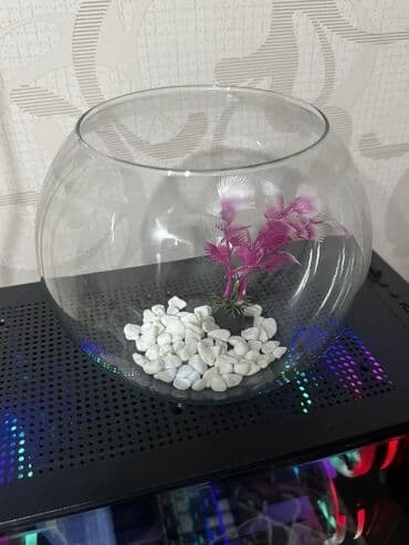 pişik qabı: Şüşə balıq akvariumu – kürə formalı - Material: şəffaf, qalın şüşə - — 1