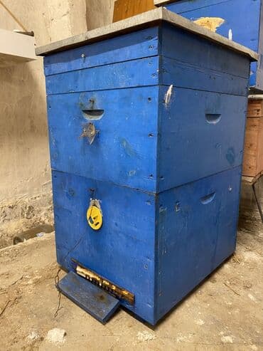 arı yeşiyinin qiyməti: Arı yeşikləri
1 mərtəbəli
2 mərtəbəli — 2