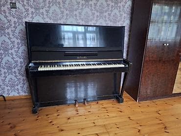 Piano, Belarus, Akustik