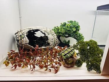 Прямоугольный аквариум, Пустой, 22 л at lalafo.az Прямоугольный аквариум, Пустой, 22 л