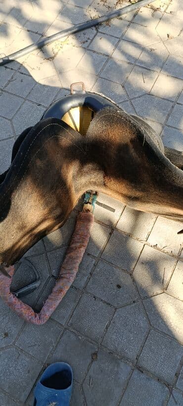 Şampunlar: At satışı: At yəhəri və aksessuarları - Klassik tipli yəhər, geniş — 4