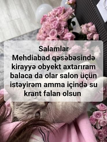 Коммерческая недвижимость: Mehdiabad qəsəbəsində icarəyə obyekt axtarılır. Salon məqsədi üçün — 1