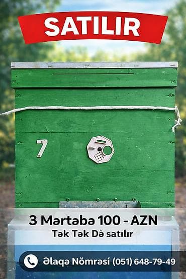 Akvariumlar: ⚠️ÇOX AZ İSTİFADƏ OLUNUB ⚠️ Arı yeşikləri (3 mərtəbəlik) - Rəngli — 2