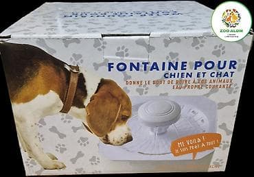 Quşlar: Fontan tipli su dispenseri Pişik və itlər üçün - Axarlı su sistemi — 4