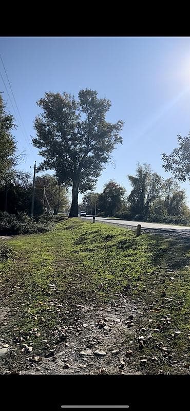 ucuz torpaq axtariram: 30 sot, Tikinti, Mülkiyyətçi, Kupça (Çıxarış) — 8