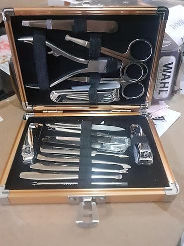 tütsü: Tərkib: - Wahl markalı fen: güc rejimləri və temperatur üçün ayrıca — 4