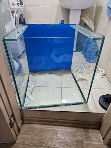 аквариум без рыб: 58×58×58 195 litr 10 mm Şüşə akvarium - Material: qalın şüşə, şəffaf — 1