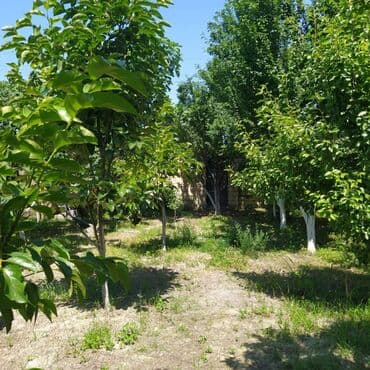 qızılın kreditlə satışı: 4 otaqlı, 140 kv. m, Kredit yoxdur, Yeni təmirli — 24