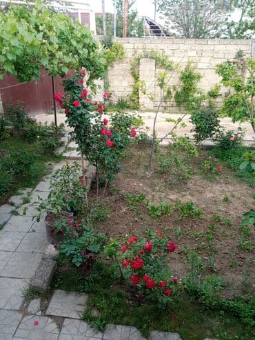 çay evi icarəyə verilir: Digah, 230 kv. m, 3 otaqlı, Qaz, İşıq, Su — 12