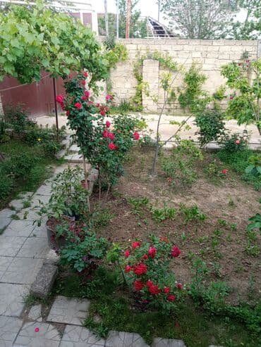 baki otel qiymetleri: İcarəyə təqdim olunur geniş və işıqlı otaq - İki ayrı tək çarpayı - — 18