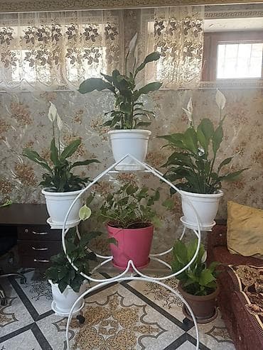 Ağ metal çiçək stendi - Material: möhkəm metal, toz boyalı ağ rəng -
