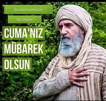 qoyun əti: Qoyun-quzu sürüsü satılır 27 quzudu biri 185 lə endirim olacaq kom — 5