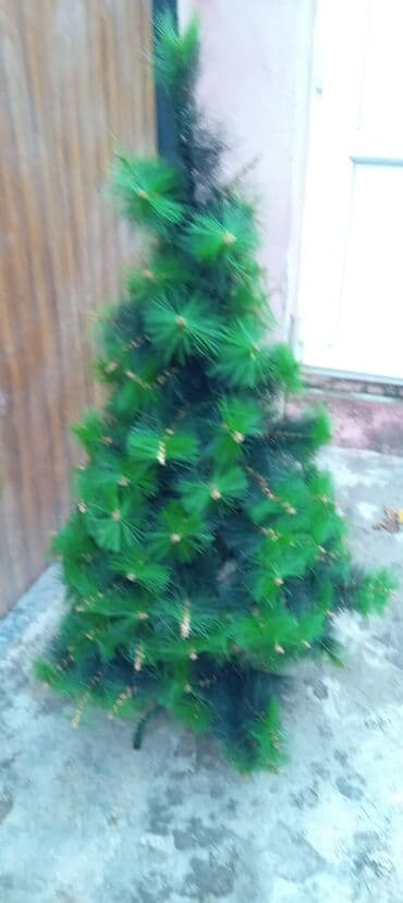 Yolka. 10m lalafo.az -da Yolka. 10m