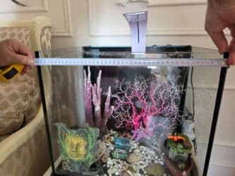 компрессор для аквариума бишкек: Akvaryum satılır – hər şey daxil - Şüşə akvarium, üstten filtrləmə — 4