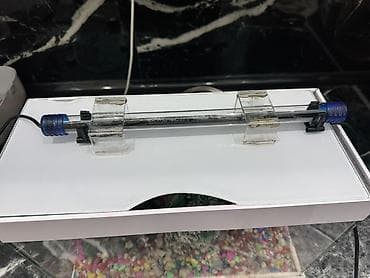 shih tzu stenci: 10 l Akvaryum dəsti balıglarla bırge satılır - Şüşə akvaryum, üstü — 5